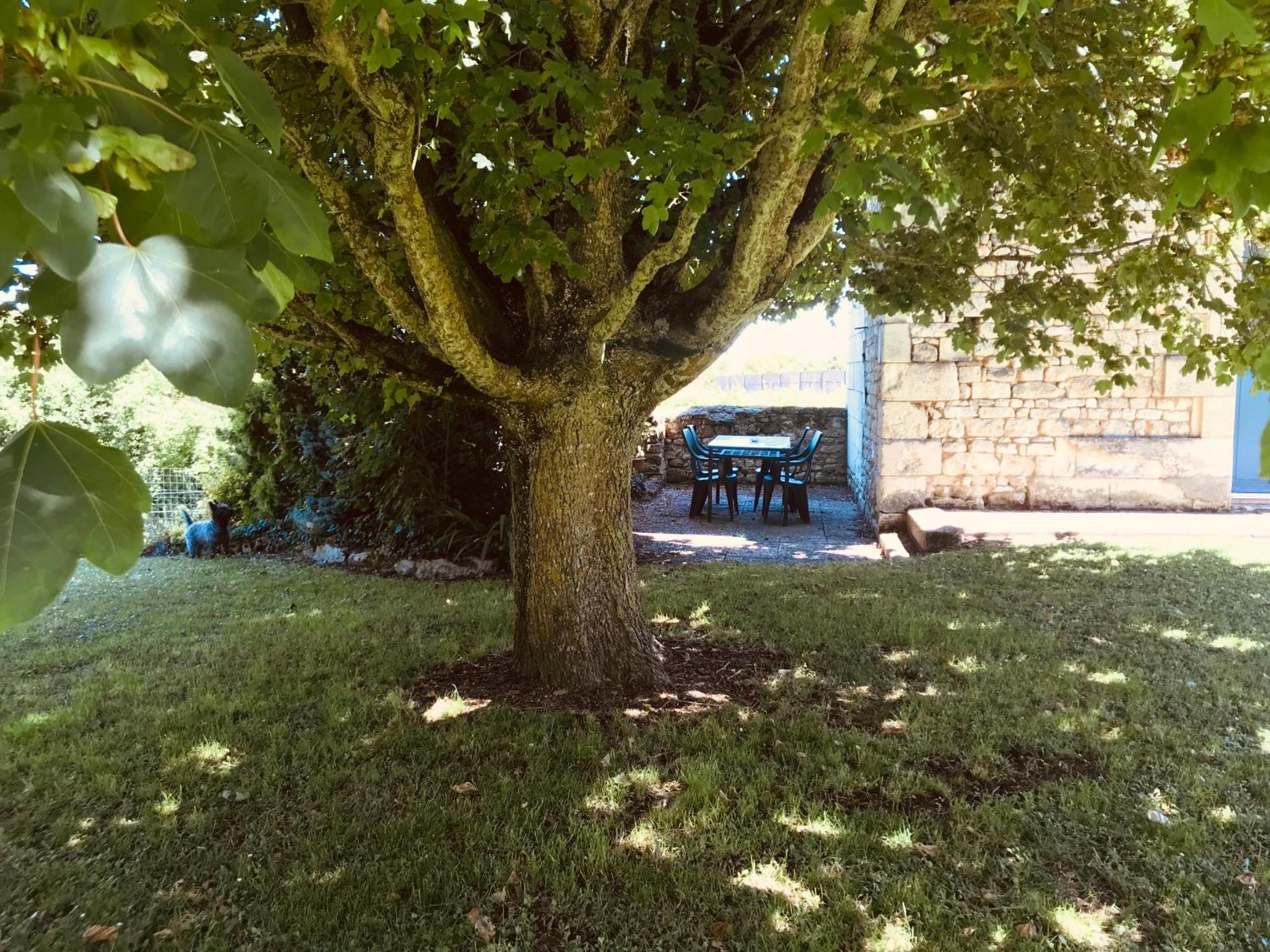 Gite Au Boom Coeur En Options Spa Et Repas Tourtenay Exterior photo